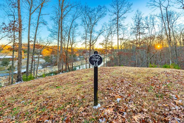 2294 Turkey Ridge Lane, Piney Flats, TN 37686