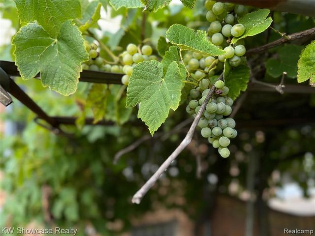 2268 Academy Drive, Troy, MI 48083