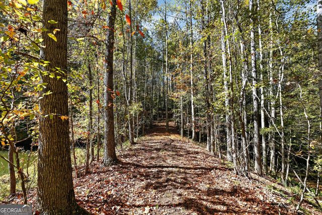 10120 Rivertown Road, Chattahoochee Hills, GA 30213