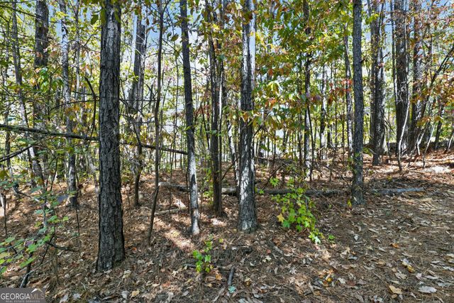 10120 Rivertown Road, Chattahoochee Hills, GA 30213