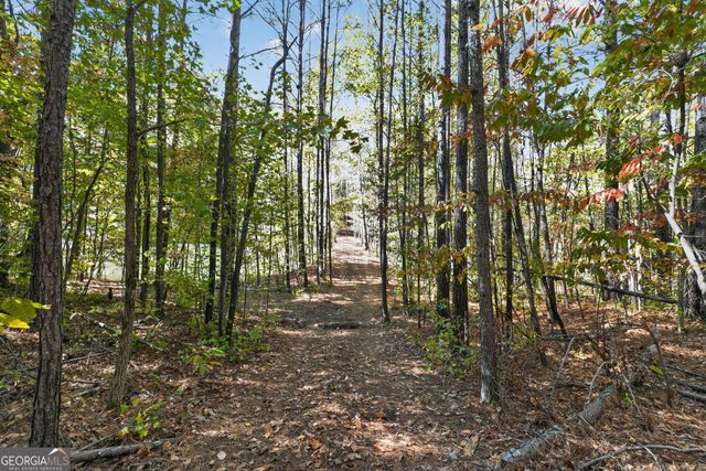 10120 Rivertown Road, Chattahoochee Hills, GA 30213