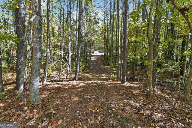 10120 Rivertown Road, Chattahoochee Hills, GA 30213