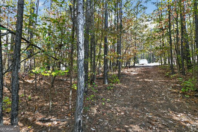 10120 Rivertown Road, Chattahoochee Hills, GA 30213