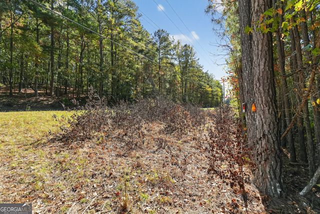 10120 Rivertown Road, Chattahoochee Hills, GA 30213