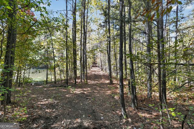 10120 Rivertown Road, Chattahoochee Hills, GA 30213