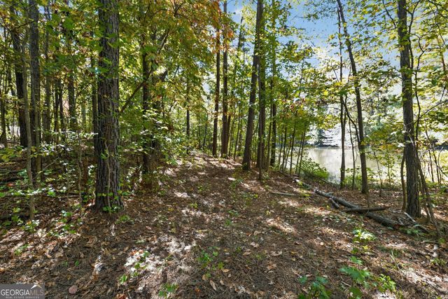 10120 Rivertown Road, Chattahoochee Hills, GA 30213