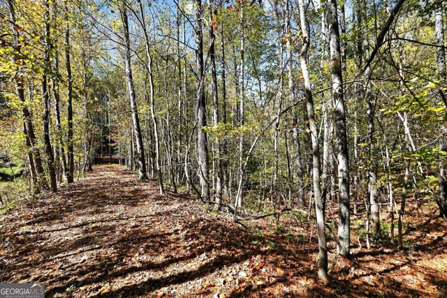 10120 Rivertown Road, Chattahoochee Hills, GA 30213