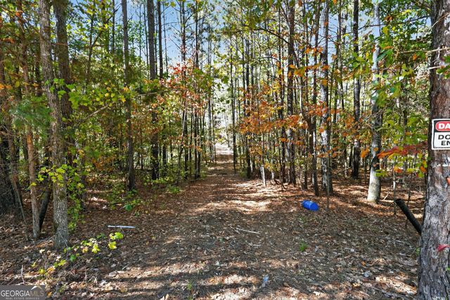 10120 Rivertown Road, Chattahoochee Hills, GA 30213