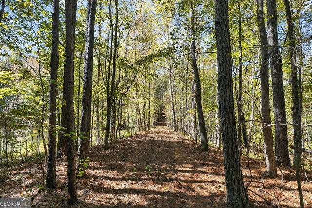 10120 Rivertown Road, Chattahoochee Hills, GA 30213