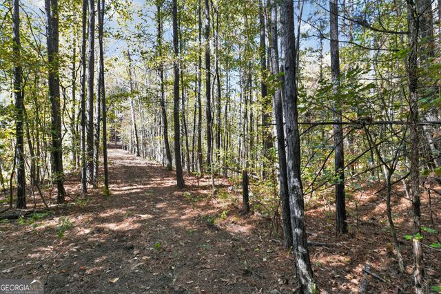 10120 Rivertown Road, Chattahoochee Hills, GA 30213