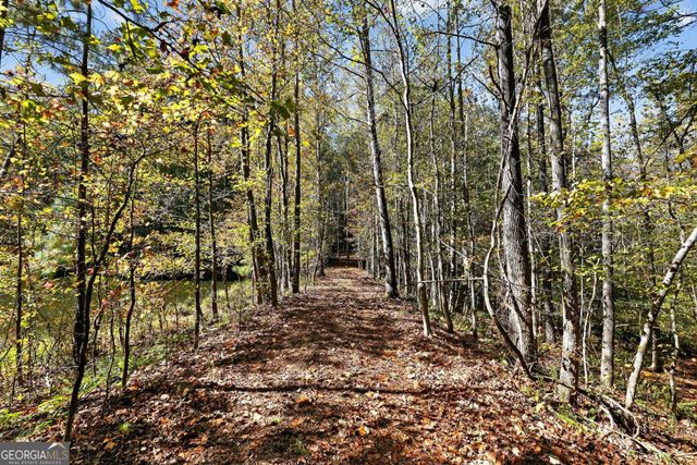 10120 Rivertown Road, Chattahoochee Hills, GA 30213