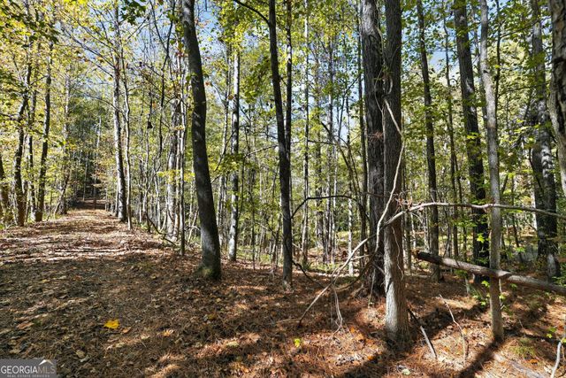 10120 Rivertown Road, Chattahoochee Hills, GA 30213