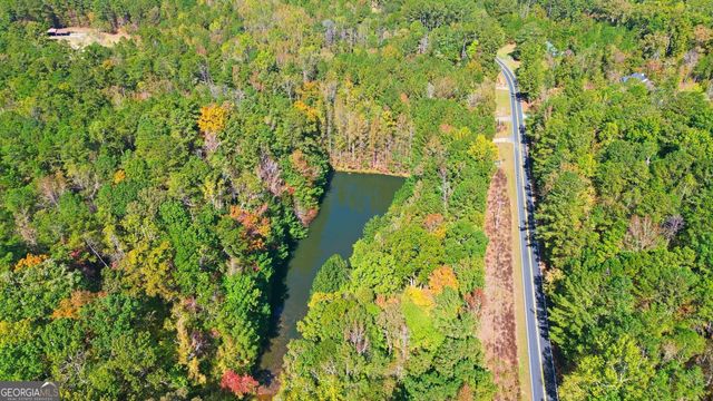 10120 Rivertown Road, Chattahoochee Hills, GA 30213