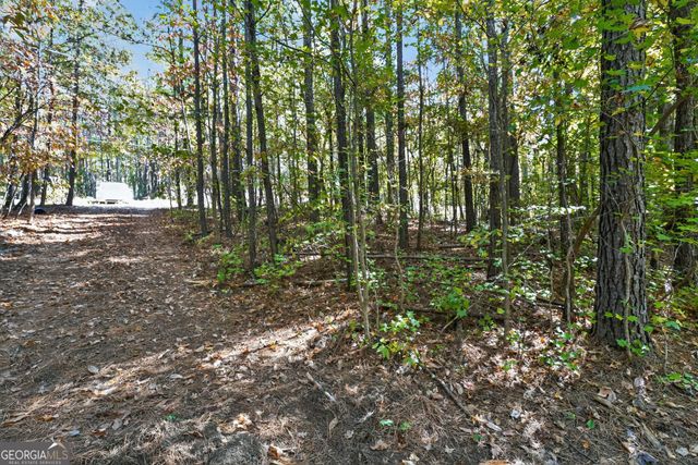 10120 Rivertown Road, Chattahoochee Hills, GA 30213