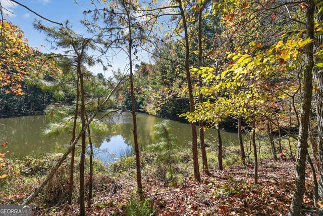 10120 Rivertown Road, Chattahoochee Hills, GA 30213