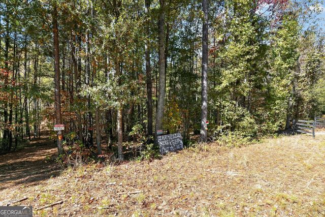 10120 Rivertown Road, Chattahoochee Hills, GA 30213