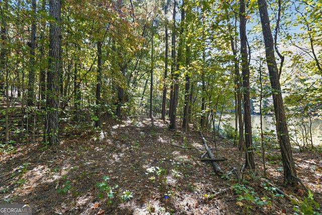 10120 Rivertown Road, Chattahoochee Hills, GA 30213