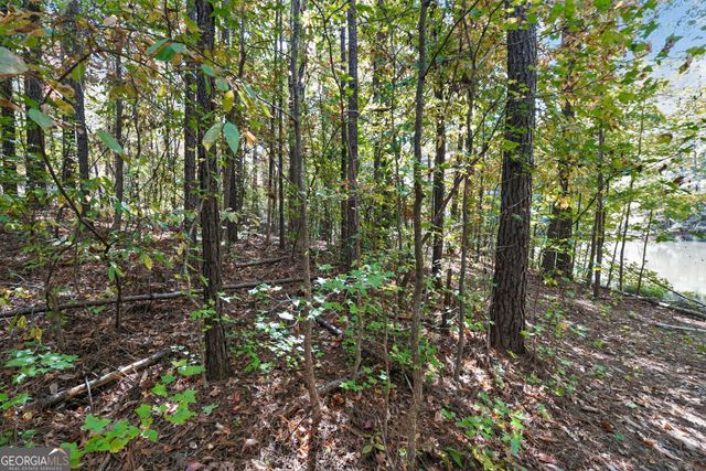 10120 Rivertown Road, Chattahoochee Hills, GA 30213