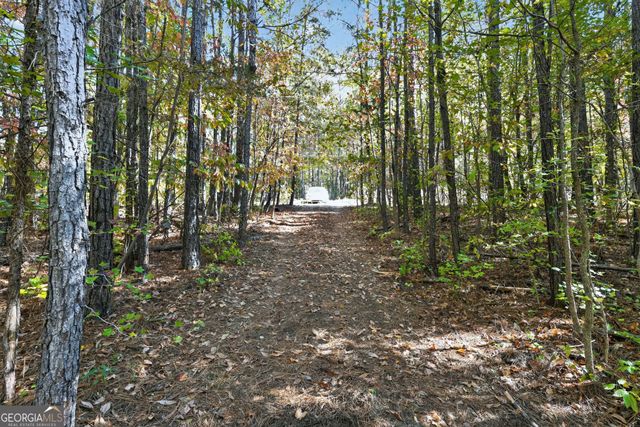 10120 Rivertown Road, Chattahoochee Hills, GA 30213