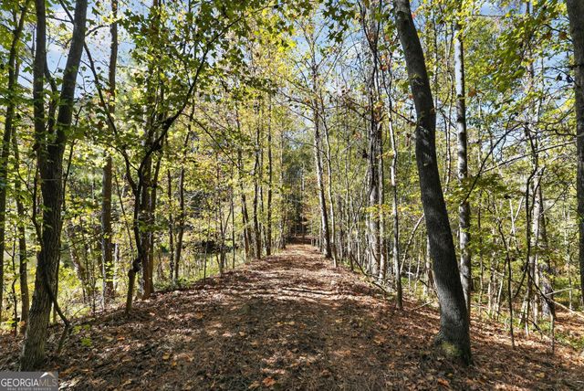 10120 Rivertown Road, Chattahoochee Hills, GA 30213