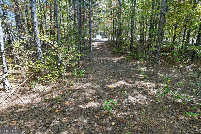 10120 Rivertown Road, Chattahoochee Hills, GA 30213