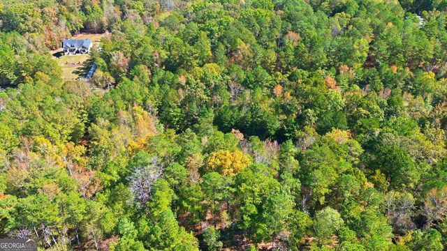 10120 Rivertown Road, Chattahoochee Hills, GA 30213