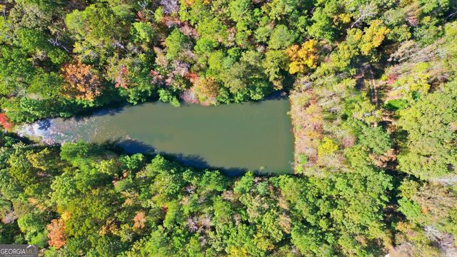 10120 Rivertown Road, Chattahoochee Hills, GA 30213