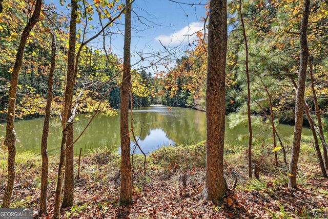 10120 Rivertown Road, Chattahoochee Hills, GA 30213