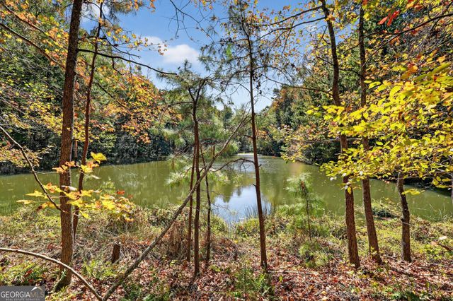 10120 Rivertown Road, Chattahoochee Hills, GA 30213