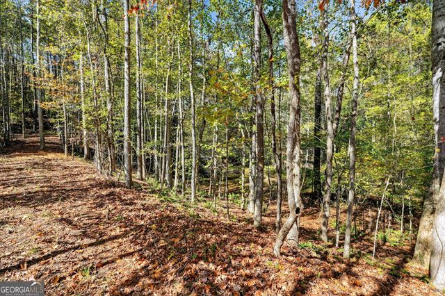 10120 Rivertown Road, Chattahoochee Hills, GA 30213