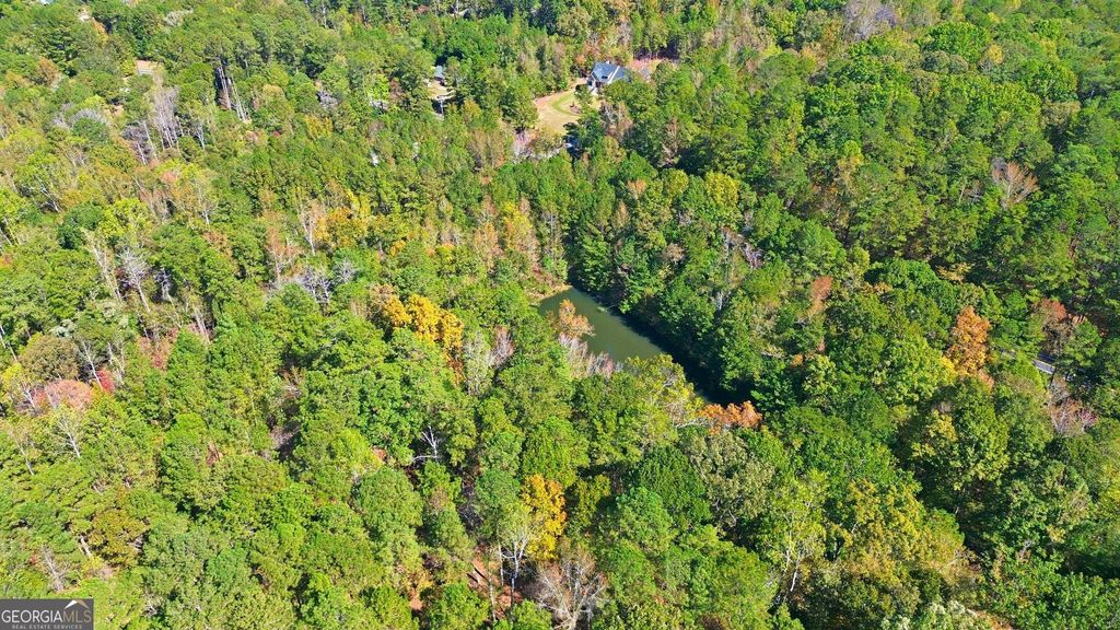 10120 Rivertown Road, Chattahoochee Hills, GA 30213