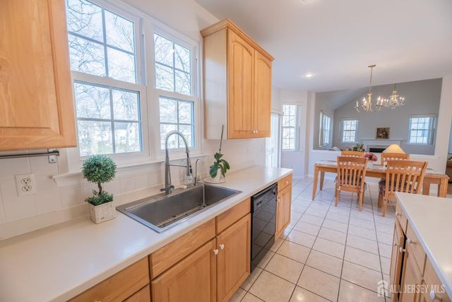 6 Banyan Court, Edison, NJ 08820