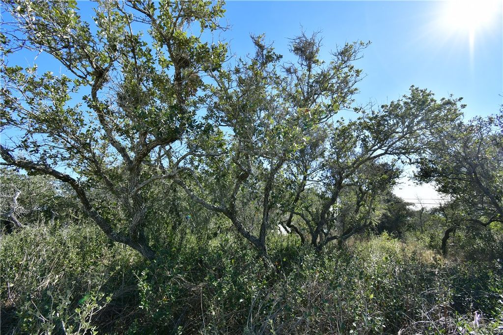 241-242 Post Oak Lane, Rockport, TX 78382 — photo 3