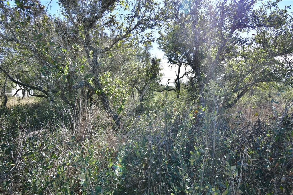 241-242 Post Oak Lane, Rockport, TX 78382 — photo 4