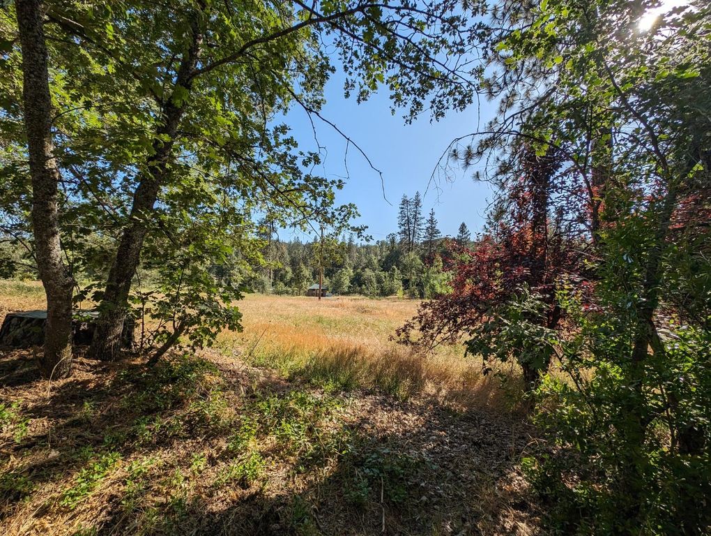 Image 6 of property listing at 1 Road 274, Bass Lake, CA 93604