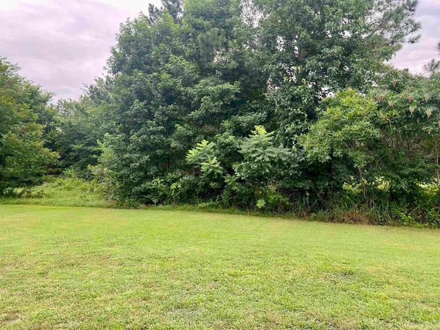 138 Mountain Side Drive, Pangburn, AR 72121