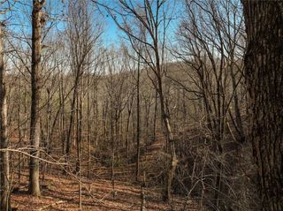 Lot 10 Mount Mincie Road, Murrayville, GA 30564