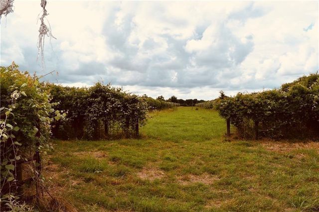 1409 Antioch RD, Paige, TX 78659