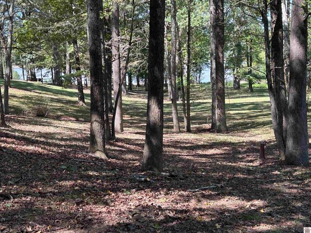 590 Serenity Shores Dr., Benton, KY 42025