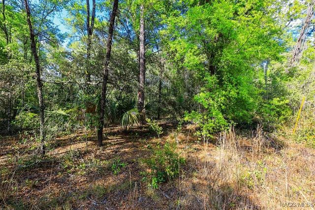 7451 W Rainbow Street, Dunnellon, FL 34433