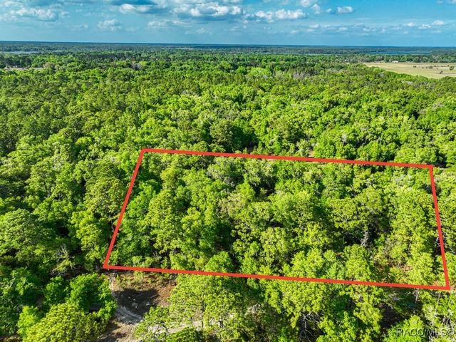 7451 W Rainbow Street, Dunnellon, FL 34433