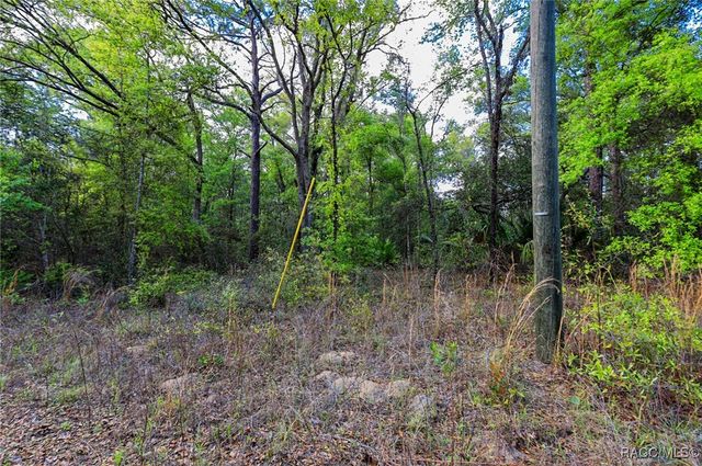 7451 W Rainbow Street, Dunnellon, FL 34433