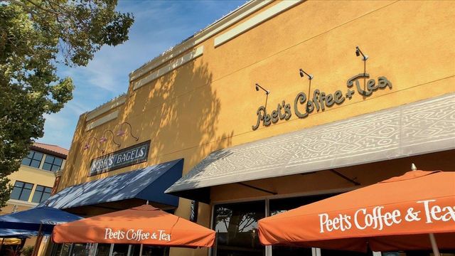 1573 Darlene Avenue, San Jose, CA 95125