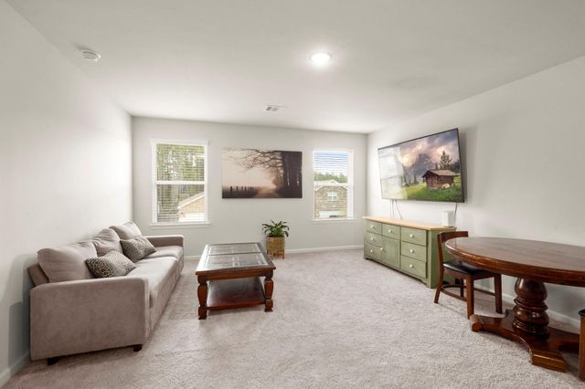 25737 Sweetpea Court, Montgomery, TX 77316