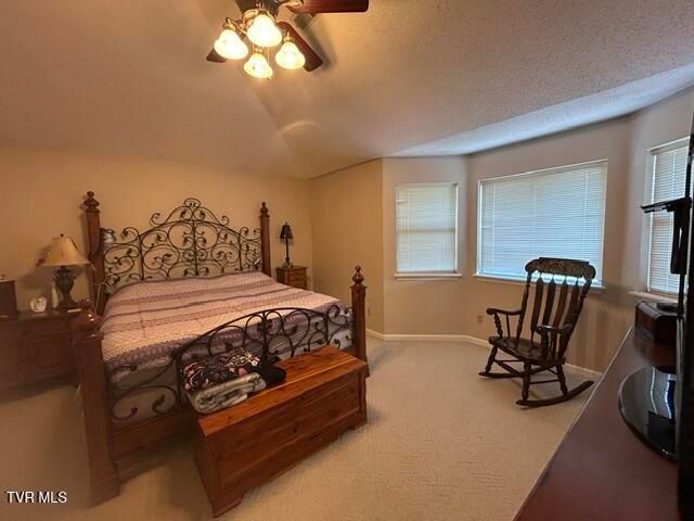 124 Douglas Lane, Bristol, TN 37620