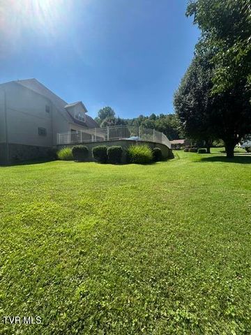 124 Douglas Lane, Bristol, TN 37620