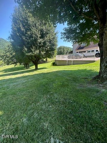 124 Douglas Lane, Bristol, TN 37620
