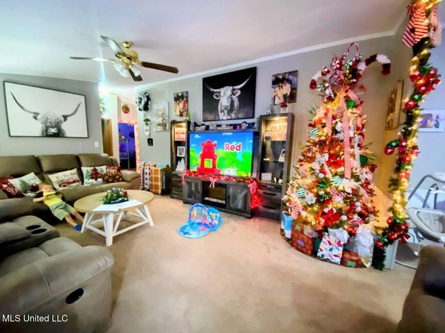 2364 Mcneill Steephollow Road, Poplarville, MS 39470