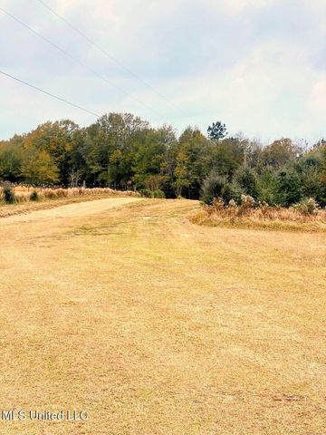 2364 Mcneill Steephollow Road, Poplarville, MS 39470