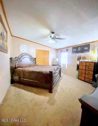 2364 Mcneill Steephollow Road, Poplarville, MS 39470